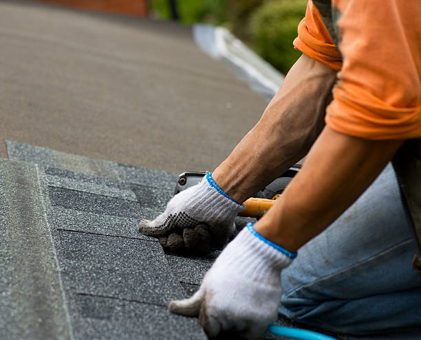 Best Metal Roofing Contractor  in Wagoner, OK